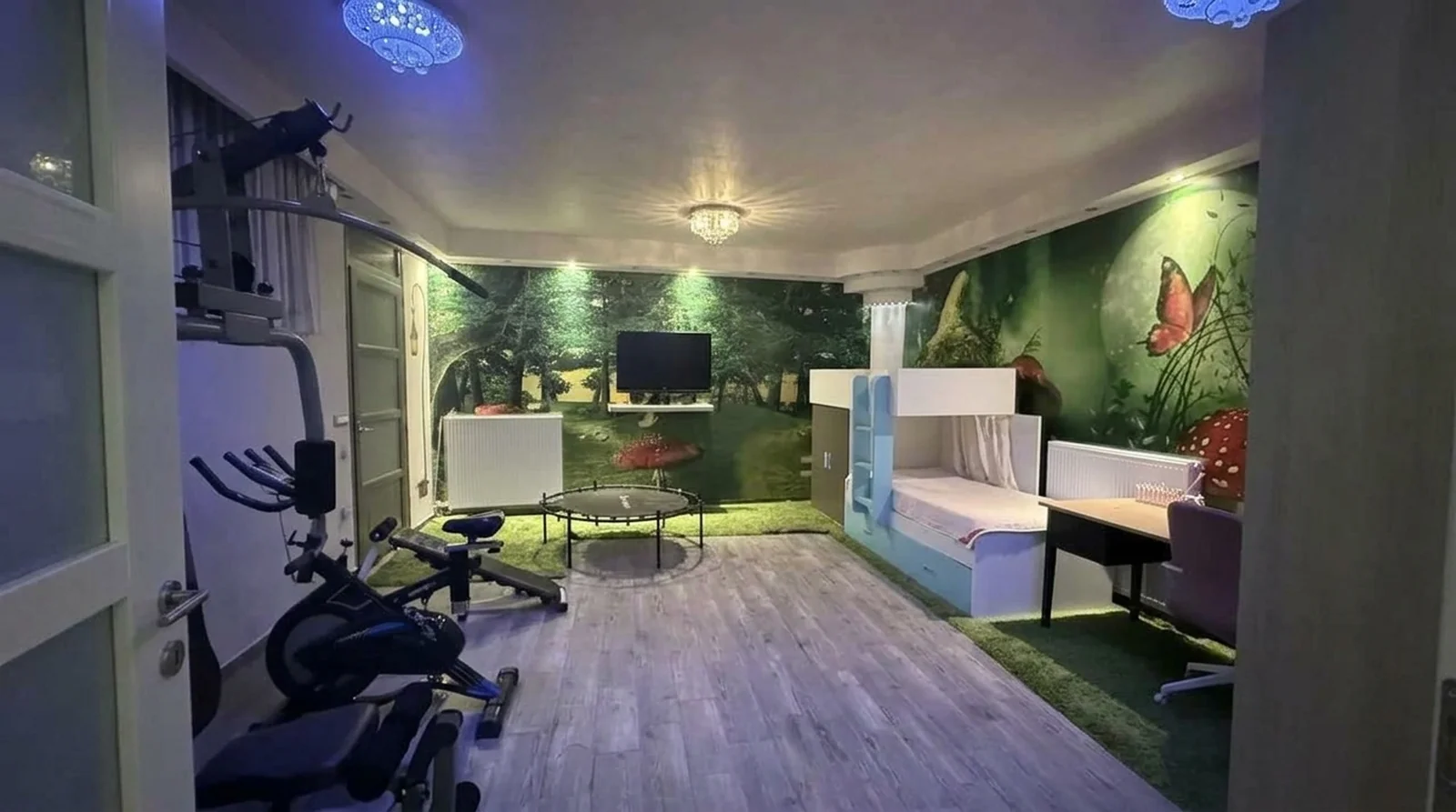 Alternate angle of the gym and playroom
