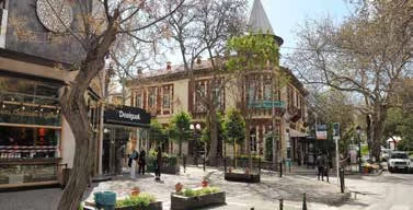 Tree-lined shopping street