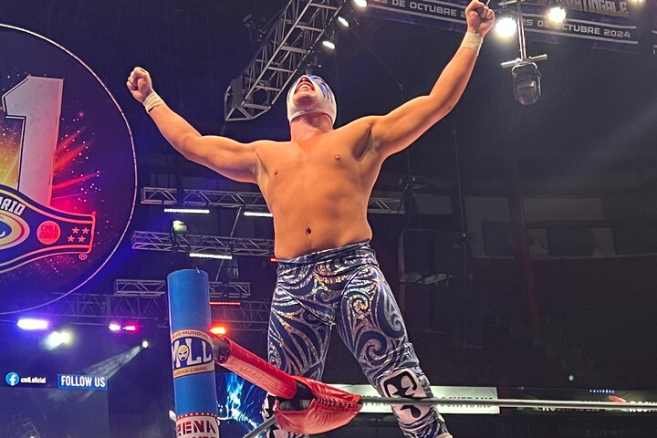 Lucha Libre Experience from the Best Area of the “Arena Mexico”