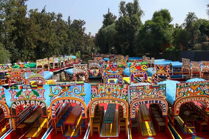 Private/Shared Tour Xochimilco Coyoacán optional Frida Kahlo