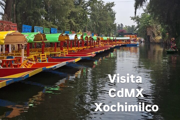 Xochimilco Tour